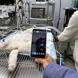 Smart Patient Monitor With 5