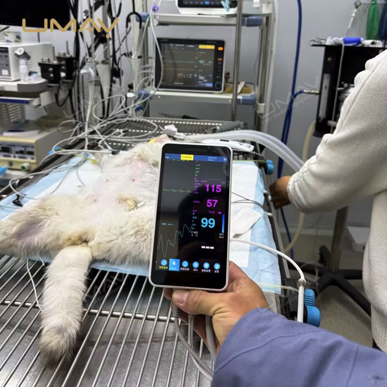 Smart Patient Monitor With 5