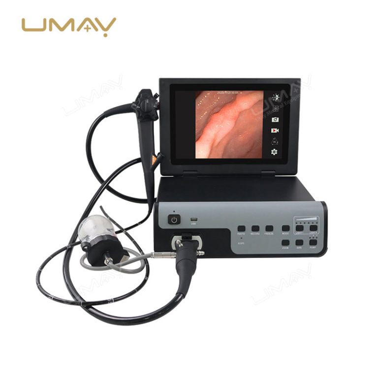 Vet Digital Gastroscopy Endoscopy System Portable for Animal Clinics