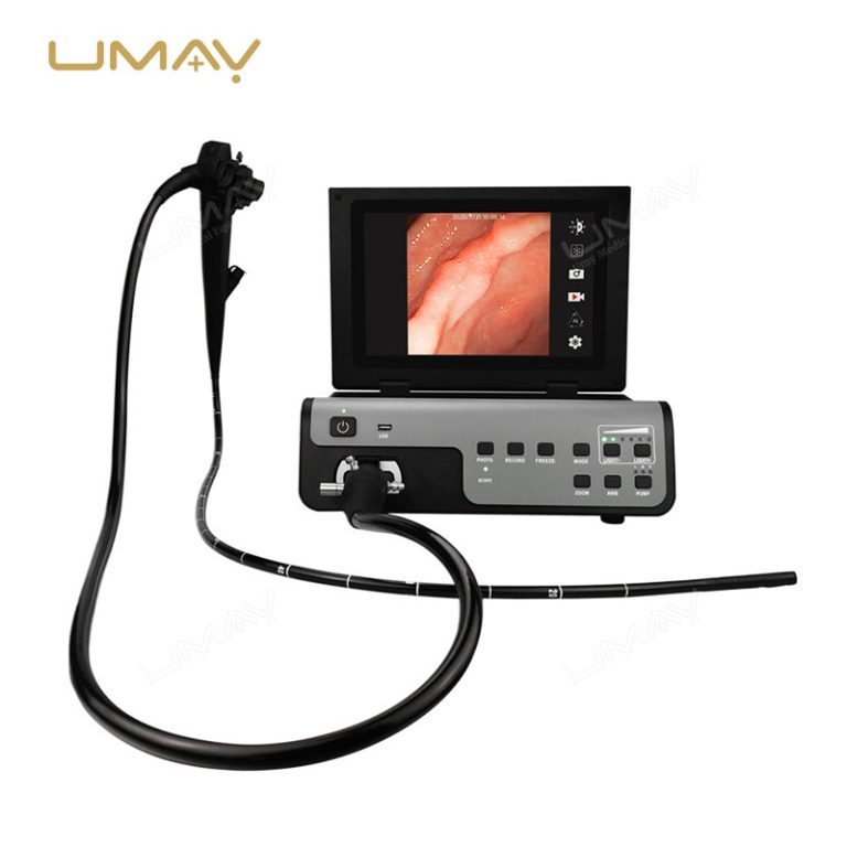 Vet Digital Gastroscopy Endoscopy System Portable for Animal Clinics-2