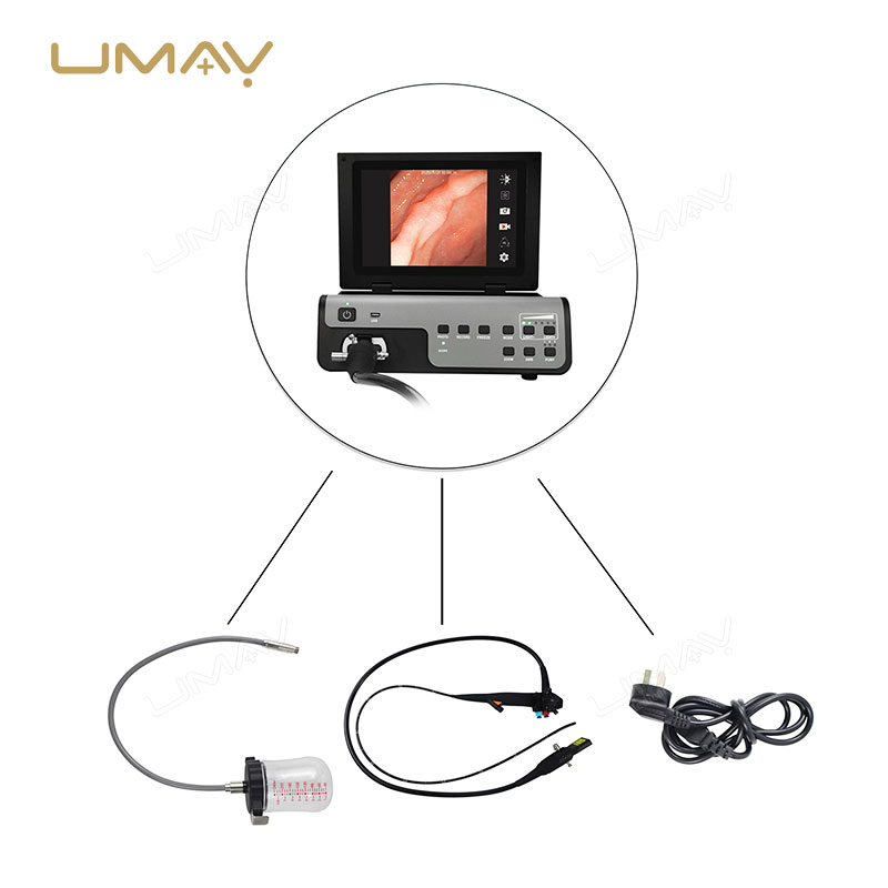 Vet Digital Gastroscopy Endoscopy System Portable for Animal Clinics