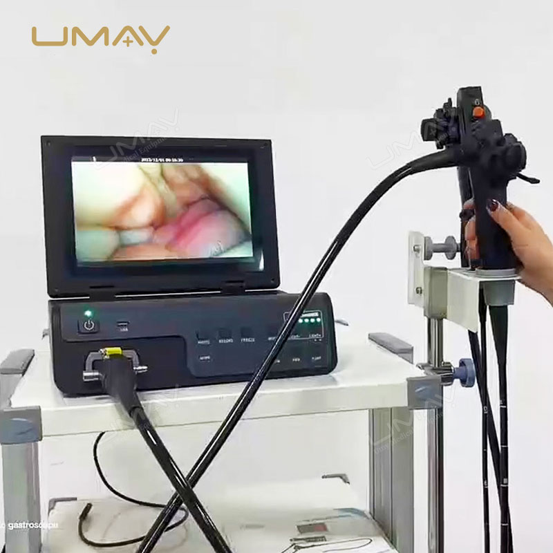 Vet Digital Gastroscopy Endoscopy System Portable for Animal Clinics