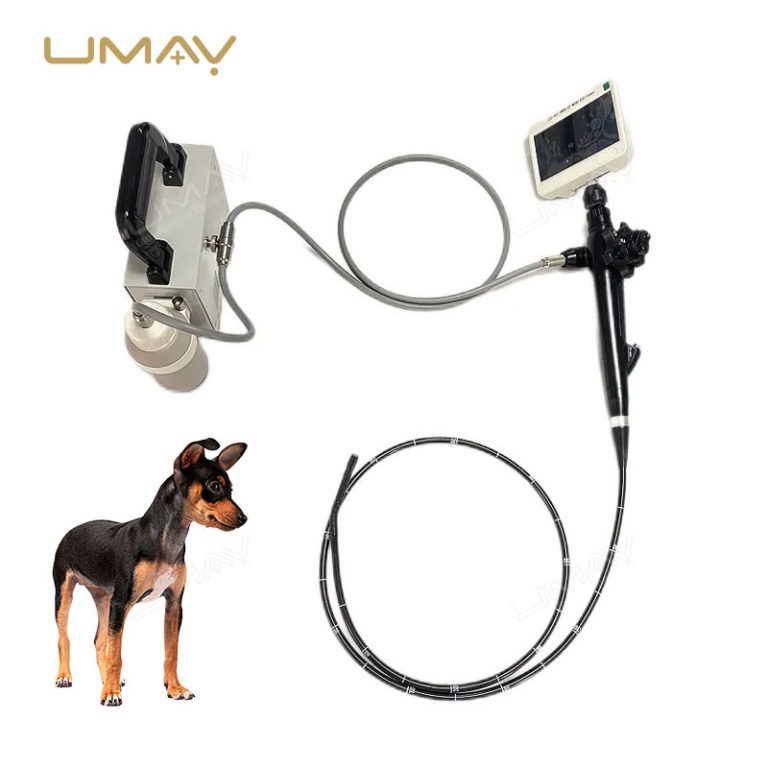 Vet Flexible Fiber Video Endoscope Pharyngoscope for Cats Dogs Cattle and Horses