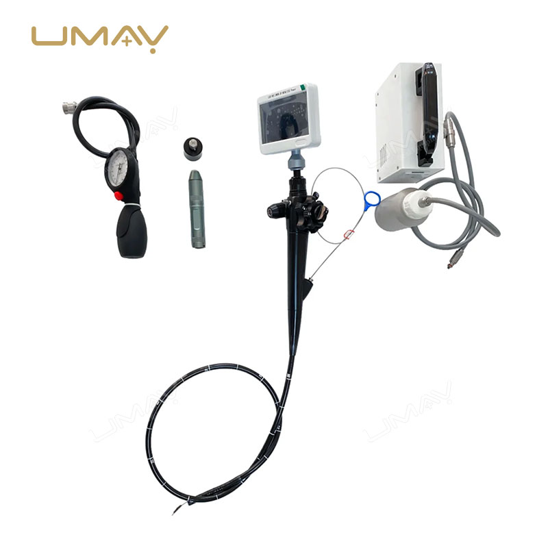 Vet Flexible Fiber Video Endoscope Pharyngoscope for Cats Dogs Cattle and Horses