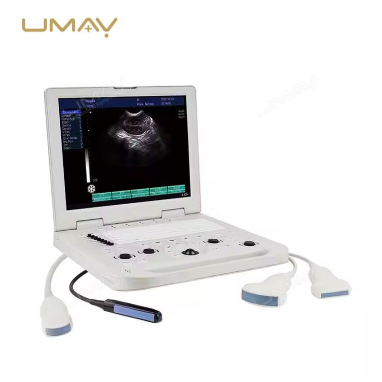 Veterinary Ultrasound Laptop Scanner with Rectal Probe for Cattle Horse Dog and Cat Imaging-4