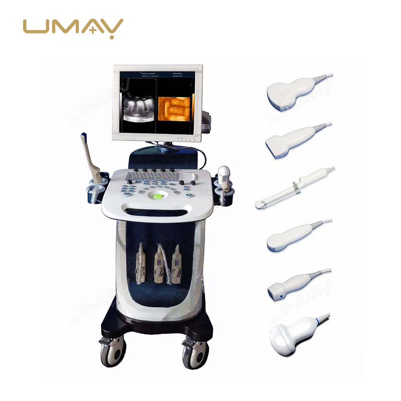 CE Approved 3D/4D Full Digital Trolley Doppler Ultrasound Scanner