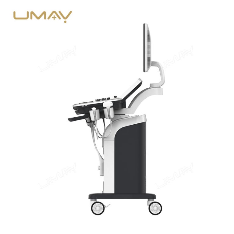 Trolley 3D and 4D Color Doppler Ultrasound Machine for Fine-Detail Imaging-10