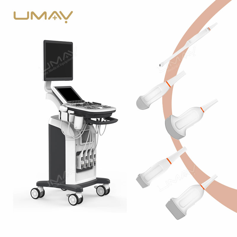 Trolley 3D and 4D Color Doppler Ultrasound Machine for Fine-Detail Imaging