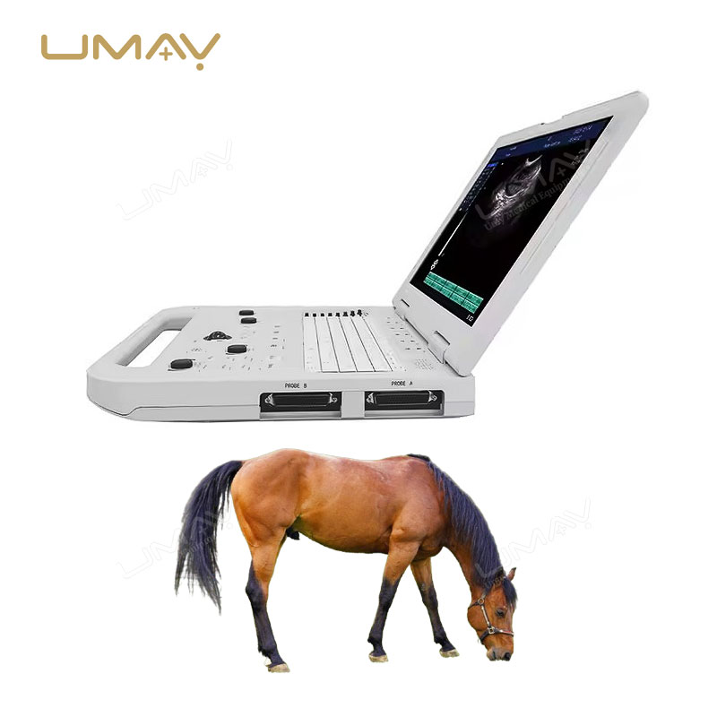 Veterinary Ultrasound Laptop Scanner with Rectal Probe for Cattle Horse Dog and Cat Imaging