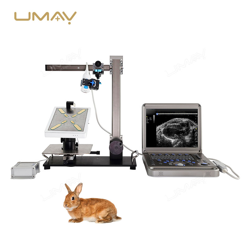 Ultra-High Frequency Small Animal Ultrasound System with Color Doppler for Preclinical Research
