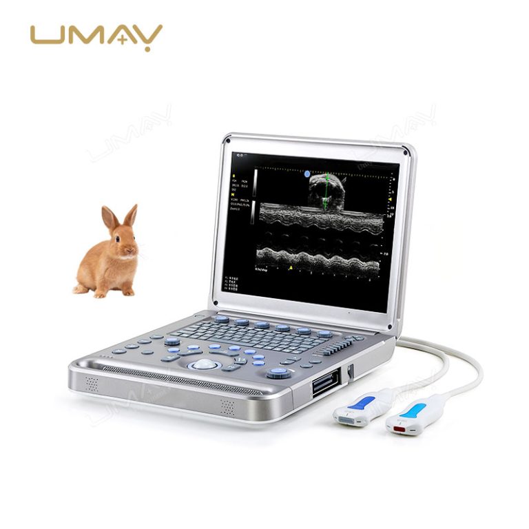 Ultra-High Frequency Small Animal Ultrasound System with Color Doppler for Preclinical Research-3