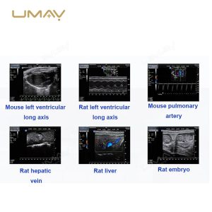 Ultra-High Frequency Small Animal Ultrasound System with Color Doppler for Preclinical Research-4
