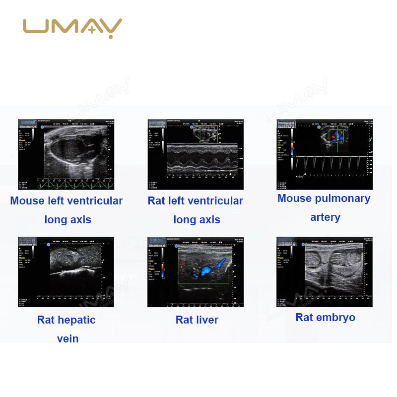 Ultra-High Frequency Small Animal Ultrasound System with Color Doppler for Preclinical Research
