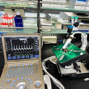 Ultra-High Frequency Small Animal Ultrasound System with Color Doppler for Preclinical Research-5