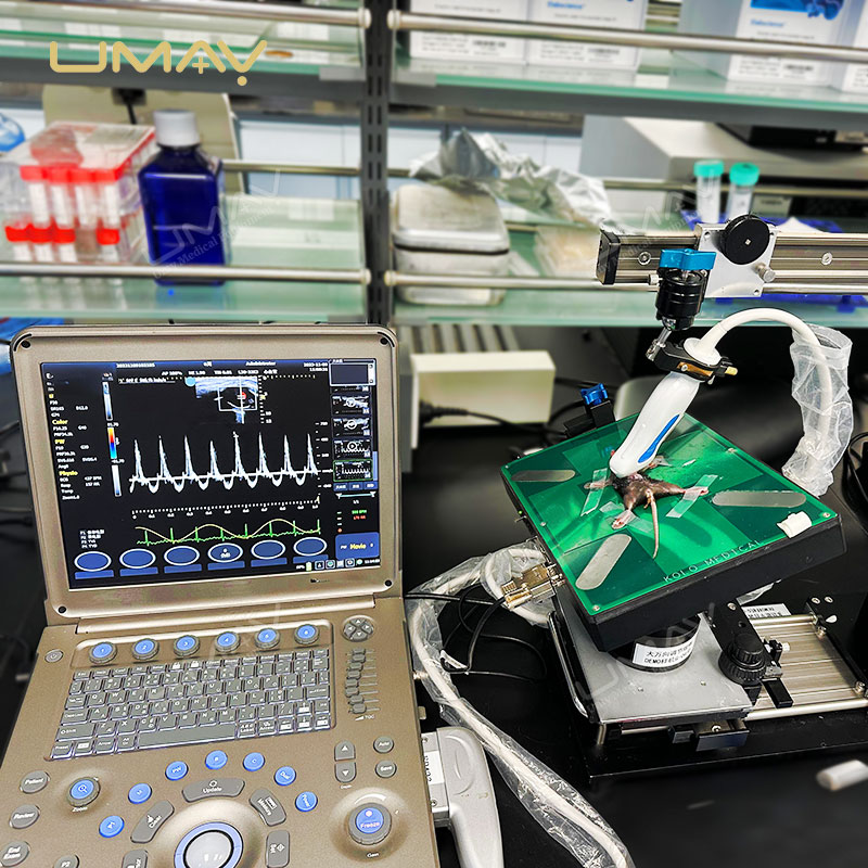 Ultra-High Frequency Small Animal Ultrasound System with Color Doppler for Preclinical Research