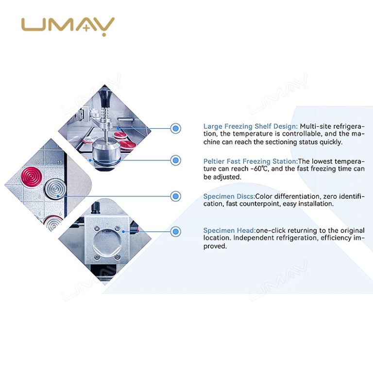 High Precision Cryostat Microtome for Frozen Tissue Sectioning in Clinical and Research Labs-3