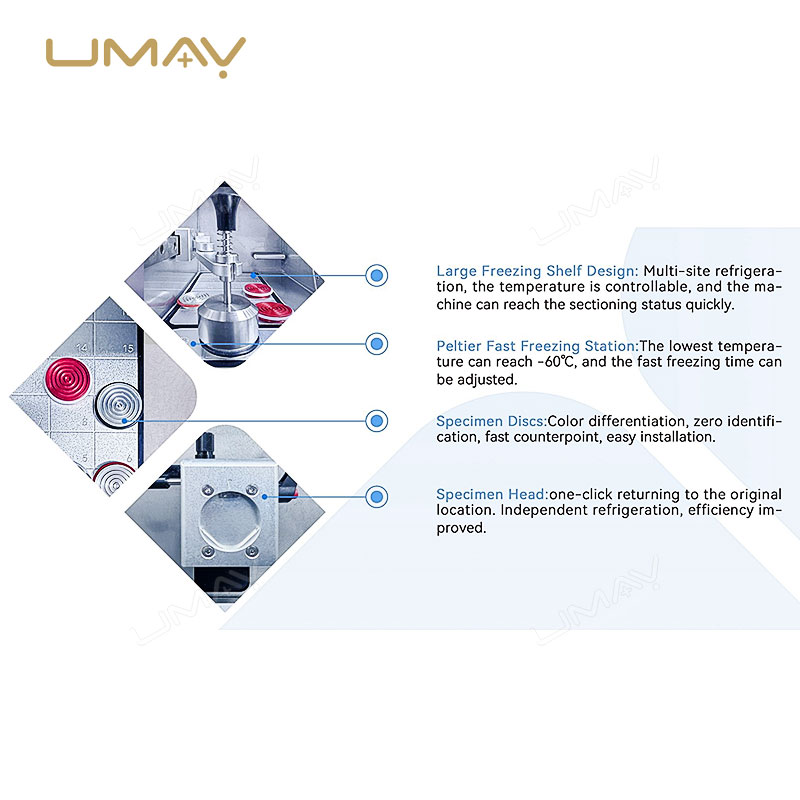 High Precision Cryostat Microtome for Frozen Tissue Sectioning in Clinical and Research Labs