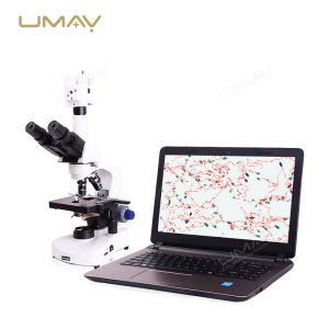 Veterinary Animal Sperm Analysis System for Reproductive Diagnostics with Laptop-1