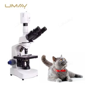 Veterinary Animal Sperm Analysis System for Reproductive Diagnostics with Laptop-3
