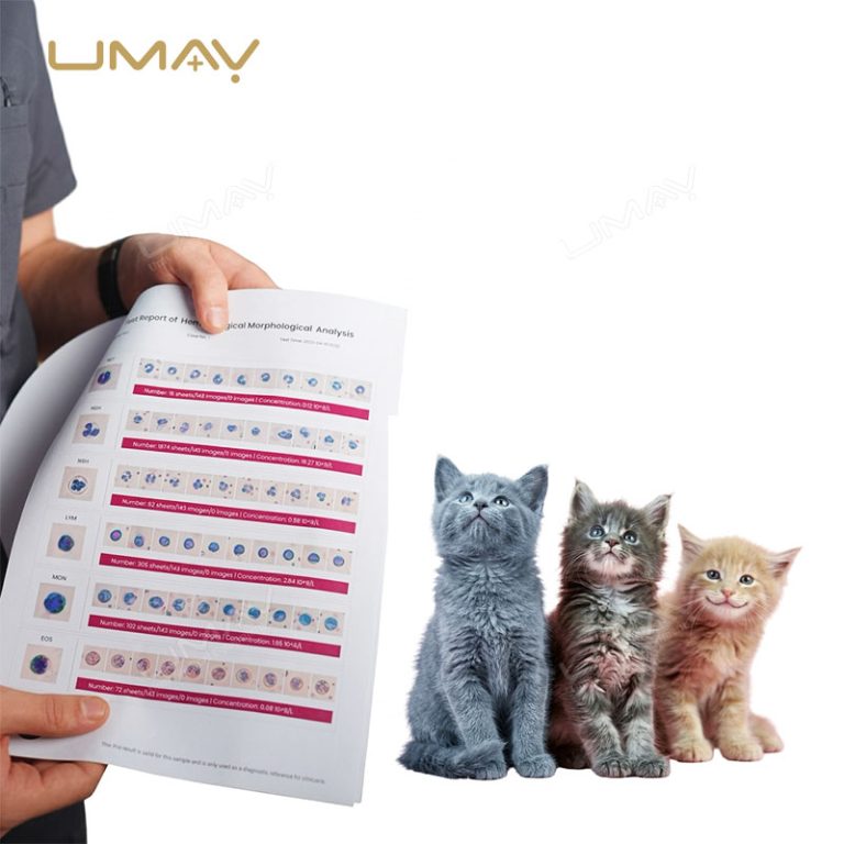 AI Hematology Analyzer for Vet With Multifunctional Morphology Analysis And Fluorescence Immunoassay-3