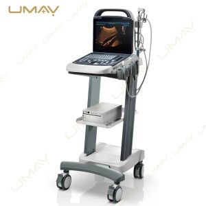 Mobile Clinical Ultrasound Diagnostic System