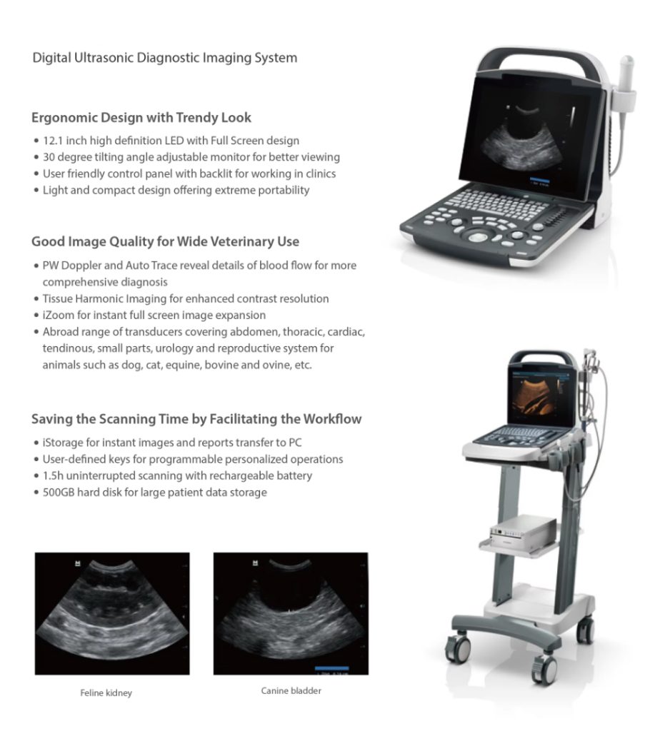 Portable Ultrasound System Carrying Unit