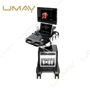 4D Obstetric Trolley Ultrasound Machine Workstation
