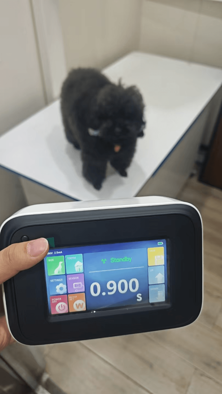 Handheld Veterinary X-Ray Machine Clinical Test