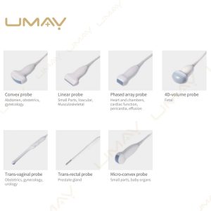 Ultrasound Transducer Probe Types Guide