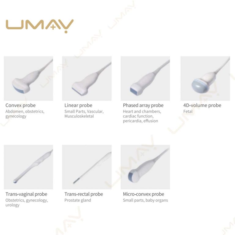 Ultrasound Transducer Probe Types Guide