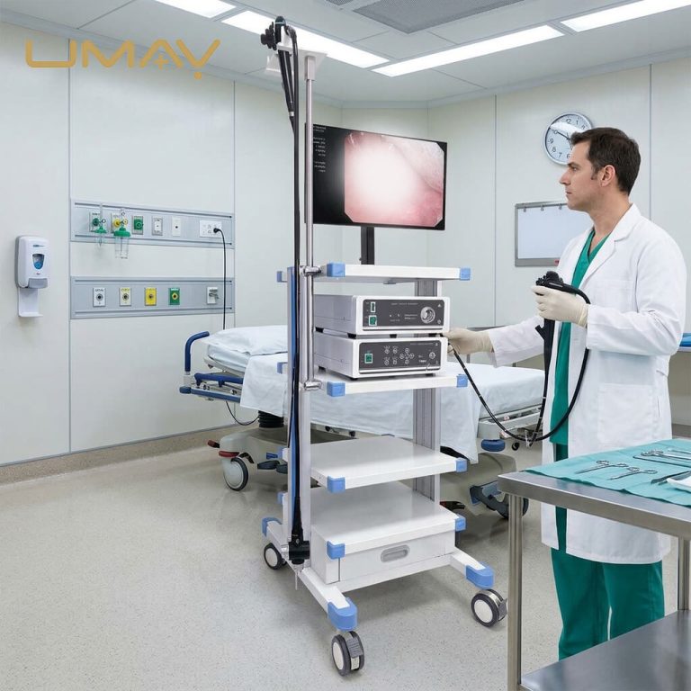 Flexible Endoscope System Demonstration