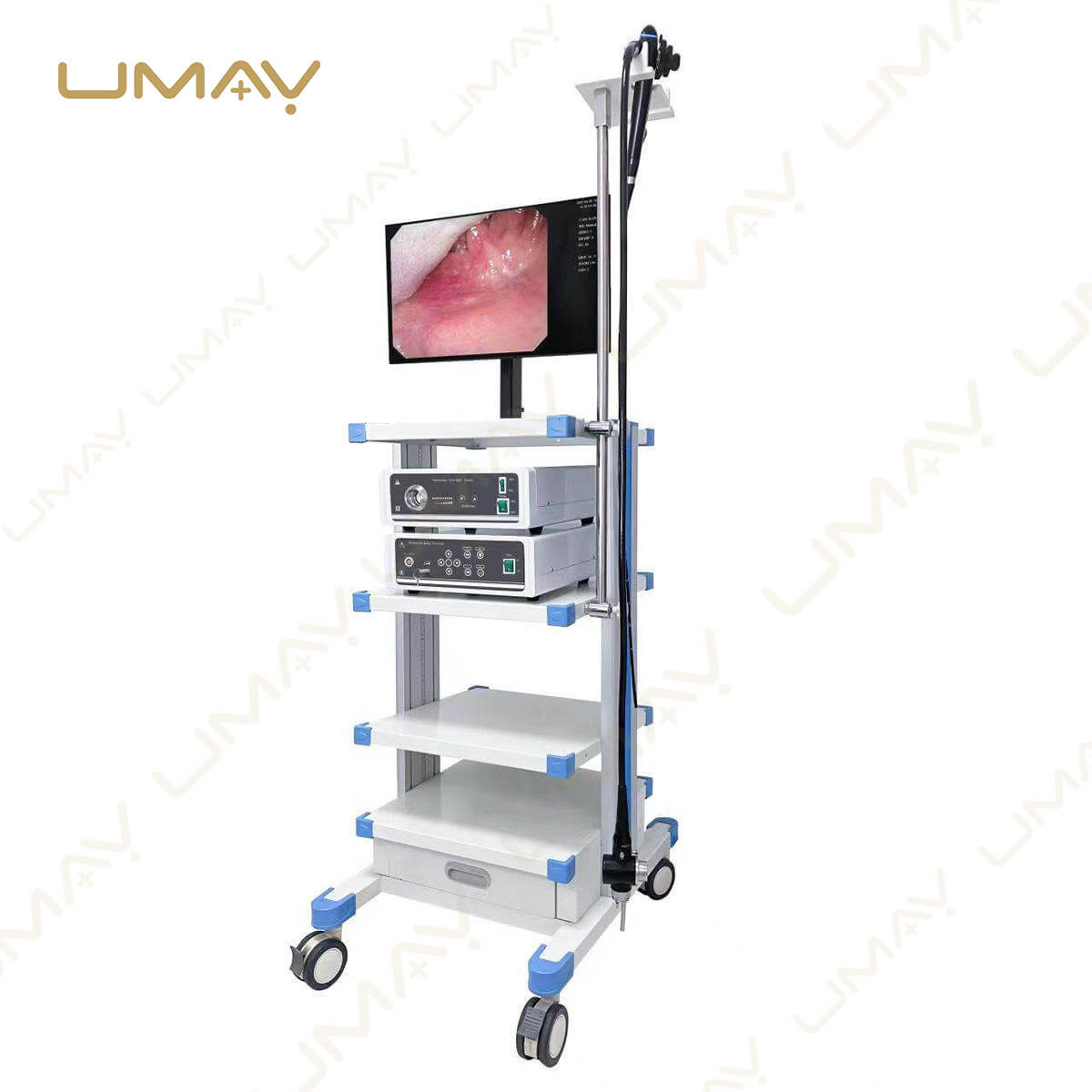 High-Definition Clinical Visualization: Medical Flexible Video Endoscopy System