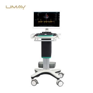 Mobile Color Doppler Ultrasound Diagnostic System