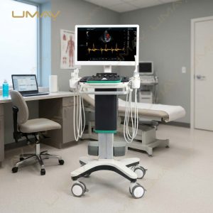 Mobile Ultrasound Diagnostic System in Clinic Examination Room
